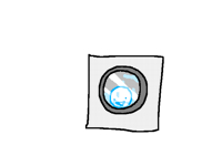 Birb in a washing machine