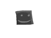 an asset from my first drawing of pfp