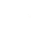 ON characters but they are one pixel wide
