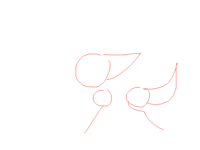 Run cycle