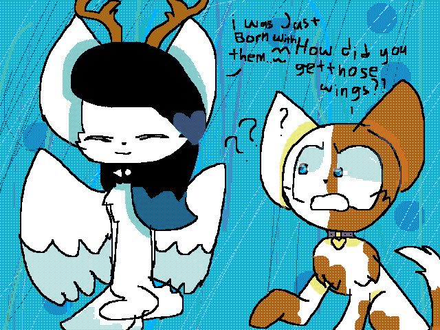 Shado & Lashpaw