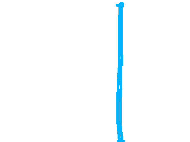 world’s tallest birb