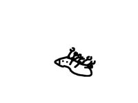 i found a video of a bird mimicking a caterpillar