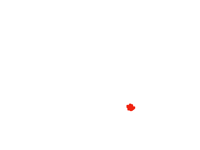 Firework test