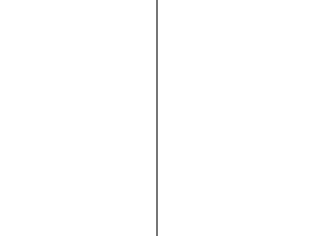Mirror test