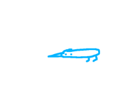 another sausage birb