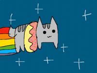 Donut Pusheen