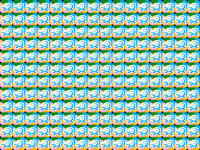 Woa