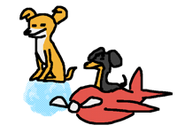 dog of wisdom