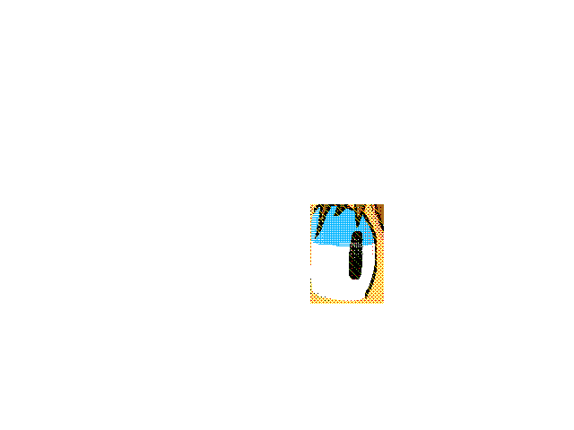 eye
