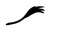 Hand