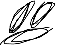 29 Features