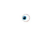 eye ball