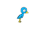 a bird
