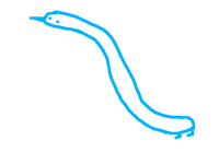 snake birb