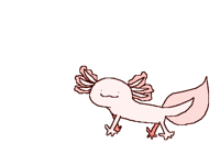 axolotl