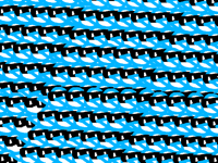 An even bigger swag birb army