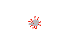 Coronabirus