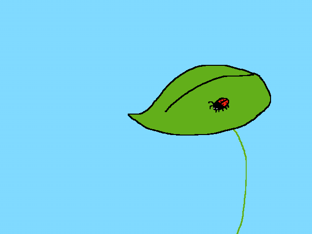 For the zoom Contest