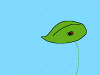 For the zoom Contest