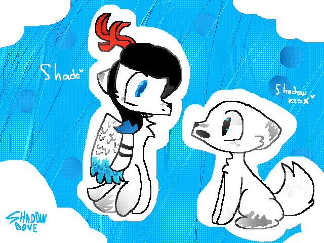 Shado and Shadow Box @bella04