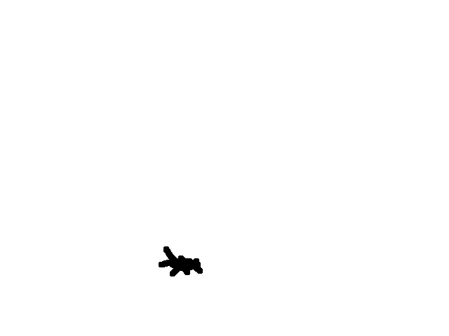 cockroach