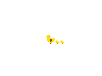 Happy chicks x3 (Ty @CMD