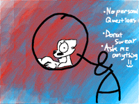 Q & A