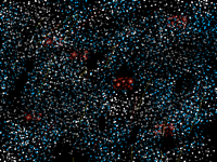 Night sky(repost)