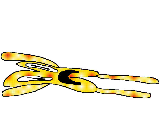 AAaaAaaaA@aAaaAAAAAAAAa