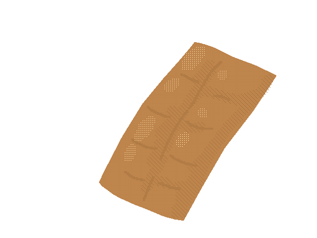 chocolate