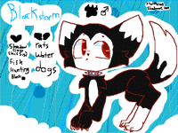 Blackstorm (my first male oc)