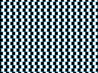 Illusion #6 Horizontal Lines