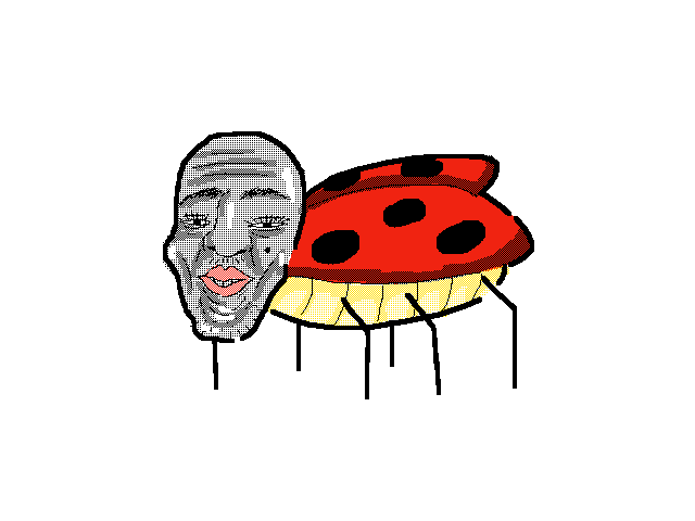 A Ladybug