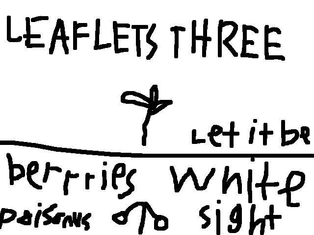 POISON IVY BE CAREFUL POISONUS SiGHT