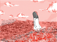 夕方に咲く花