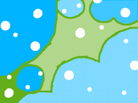 I called it snowflake