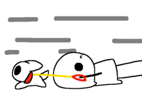 Every time you walk your dog