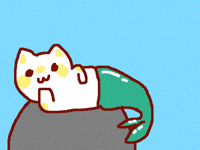 Cat fish
