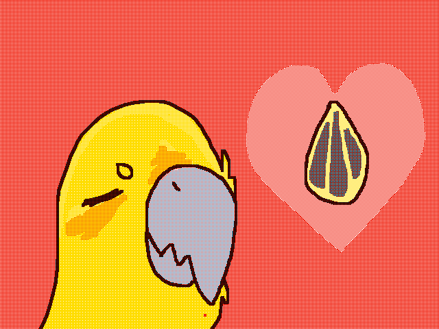 Kiwi loves sunflower seeds
