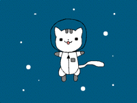 Space Cat