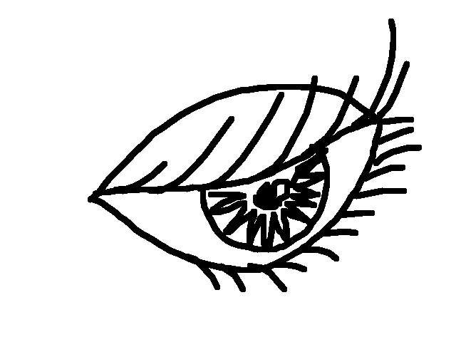 Eye