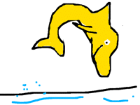 Dolphin
