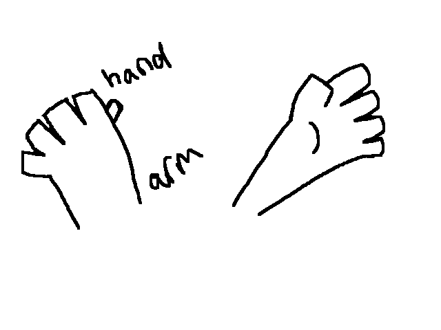 Hand examples
