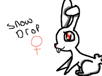 New OC Bunny!