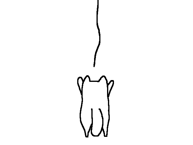 Life as a cat...