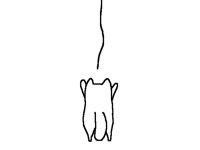 Life as a cat...