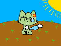 Farm cat