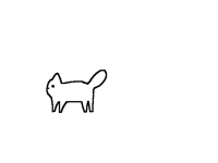 Cat running