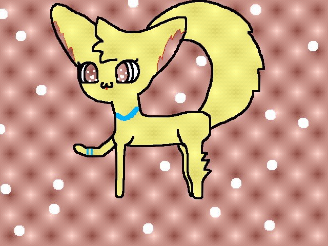 Cute cat